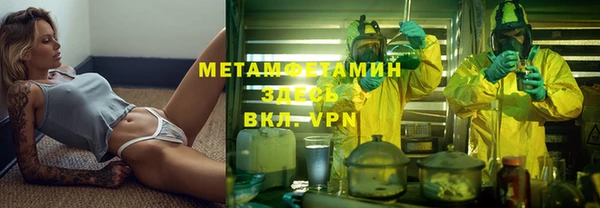 индика Аркадак