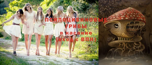 дживик Армянск