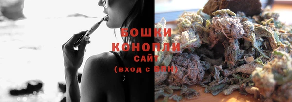 индика Аркадак