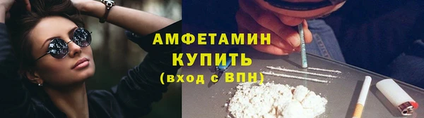 шишки Балабаново