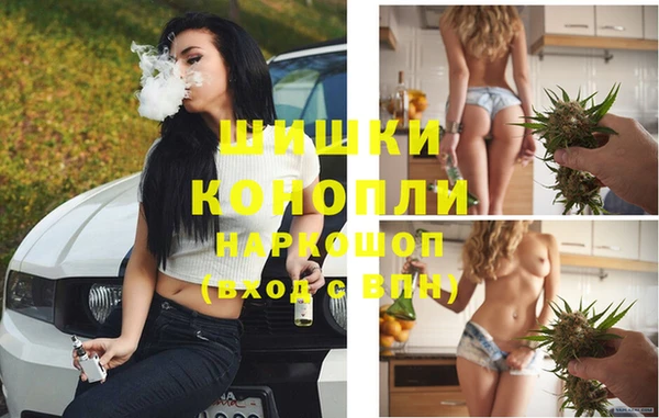 индика Аркадак
