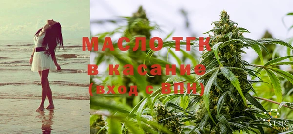 индика Аркадак