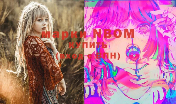 индика Аркадак
