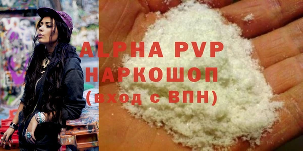 индика Аркадак