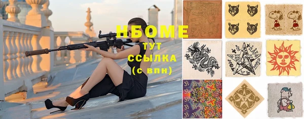 индика Аркадак