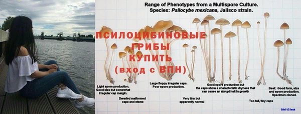 альфа пвп VHQ Арсеньев